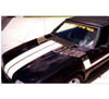 1979-93 Mustang L-Side Stripe and Hood Stripe Kit - 5.0 Designation